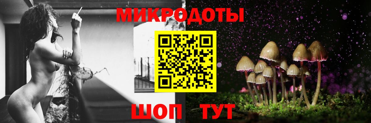 Галлюциногенные грибы Psilocybine cubensis  Вход с VPN  Назрань 